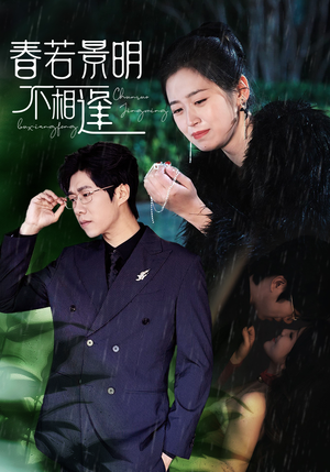 春若景明不相逢（50集）去哪里看