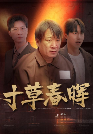 寸草春晖（31集）精彩短剧热播