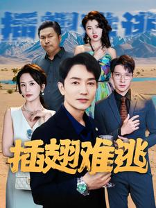 插翅难逃（43集）演的怎么样