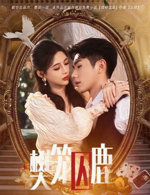 樊笼囚鹿（60集）全集一网打尽