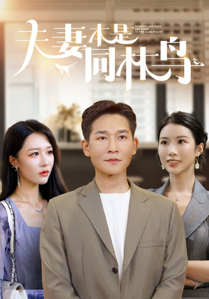 夫妻本是同林鸟（76集）评价怎么样