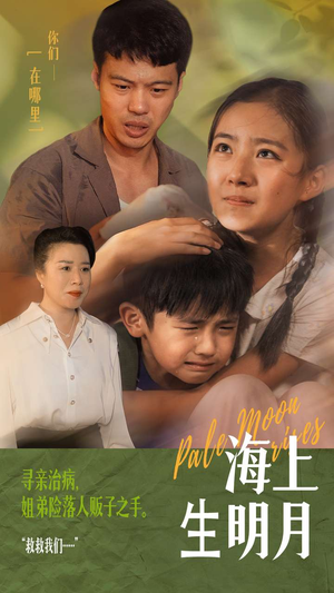 海上生明月（59集）热播短剧抢先看