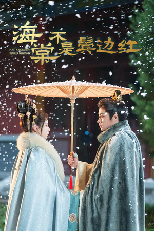 人生若只如初见（30集）好看短剧追不停