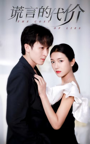 谎言的代价（30集）在线看到大结局