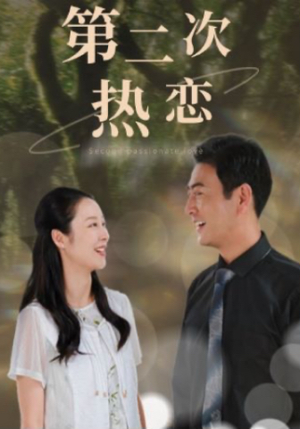 第二次热恋（48集）全集免费
