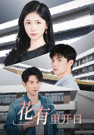 花有重开日（41集）短剧小说在线看