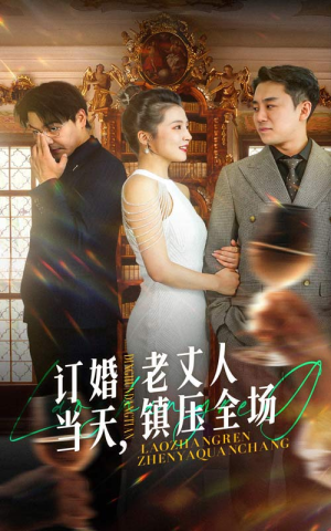 订婚当天，老丈人镇压全场（29集）短剧热播抢先看