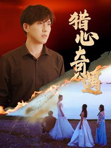 猎心奇遇（91集）短剧解说全集