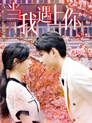 当我遇上你（100集）全集一网打尽
