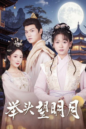 举头望明月（73集）经典老剧免费看