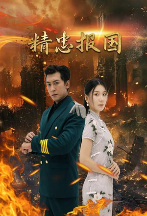 精忠报国（61集）网盘在线观看