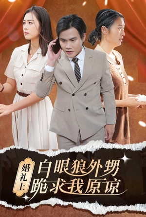 婚礼上白眼狼外甥跪求我原谅（35集）男主角是谁