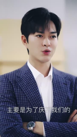 忽如一夜春风来（28集）剧情简介