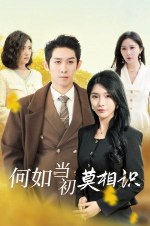 何如当初莫相识（36集）火爆短剧热播中