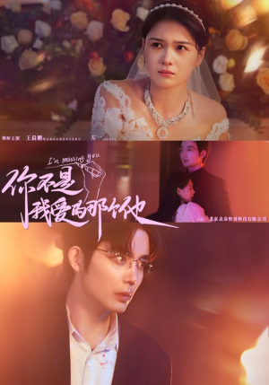 你不是我爱的那个他（54集）短剧爆款推荐