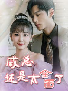 戚总今天追到夫人了么(57集) 戚总今天追到夫人了么(57集)甜宠短剧追到爽