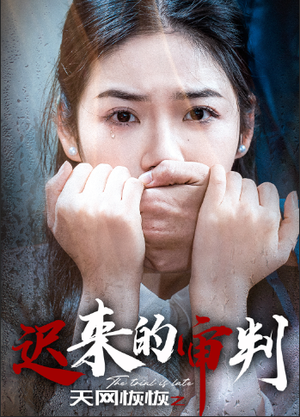 天网恢恢之迟来的审判（31集）越看越好看短剧