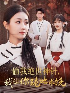 偷我绝世神针，我让你跪地求饶（30集）爱短剧爱追剧