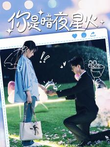 你是暗夜星火（120集）爆款热门短剧
