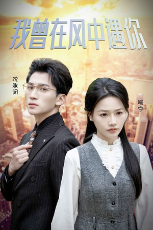 我曾在风中遇你（30集）好看短剧推荐
