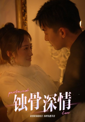 蚀骨深情（54集）热播短剧分享
