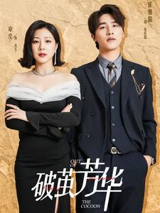 破茧芳华（80集）精彩短剧热播