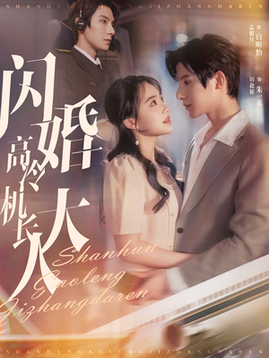 闪婚高冷机长大人（92集）好看短剧追不停
