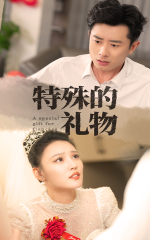 特殊的礼物（35集）解说