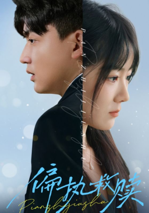 偏执救赎（30集）短剧更新抢先看