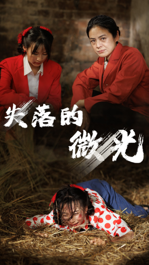 失落的微光（60集）全剧看到大结局