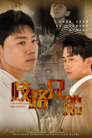 歧路兄弟（63集）短剧演员排行榜