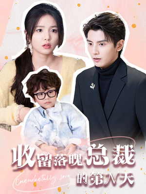 收留落魄总裁的第N天（60集）直接看到大结局