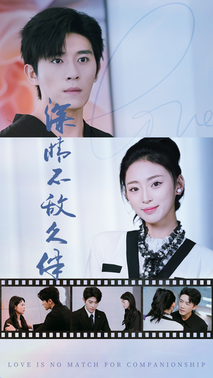 深情不敌久伴（50集）短剧追不停