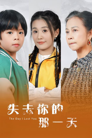 失去你的那一天（30集）热门短剧大全