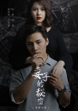 妻子不能说的秘密（30集）短剧解说全集