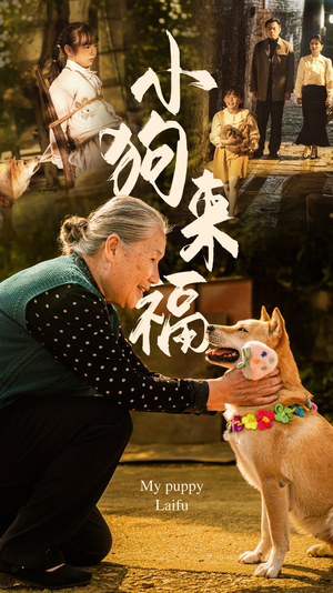 小狗来福（30集）完整版