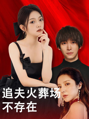 追夫火葬场不存在(100集) 追夫火葬场不存在(100集)短剧爆款推荐