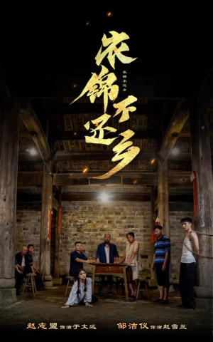 衣锦不还乡（69集）女频短剧推荐