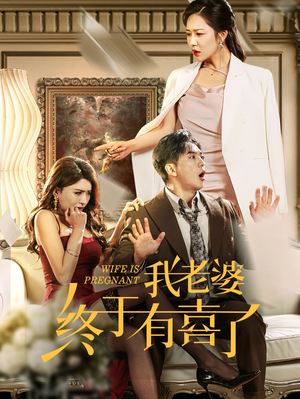 我老婆终于有喜了（40集）评价怎么样