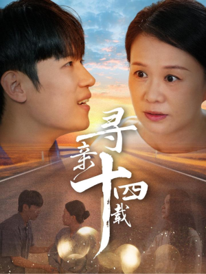 寻亲十四载（50集）在线观看完整版