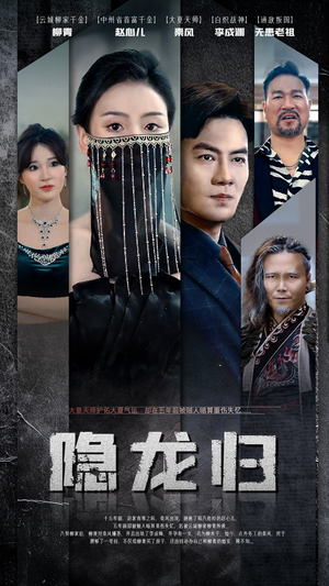 隐龙归（80集）精彩短剧看不停