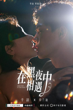 在黑夜中相遇（32集）精彩短剧追不停