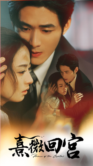 熹微回宫（61集）热门短剧分享