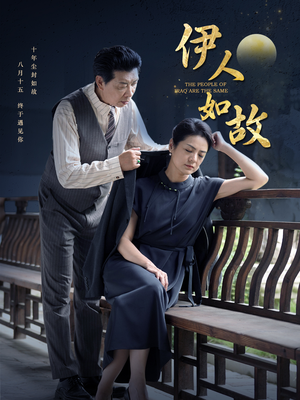 伊人如故（95集）红果免费看短剧