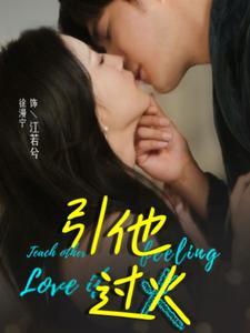 引他过火（40集）经典老剧免费看