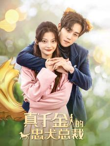 真千金的忠犬总裁（74集）一口气看完