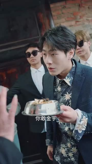 乡村卧龙(88集) 乡村卧龙(88集)全集