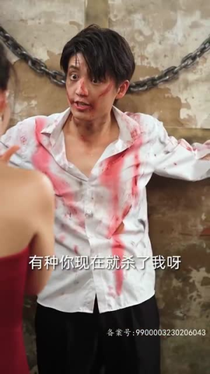 豪霸天下（100集）免费版