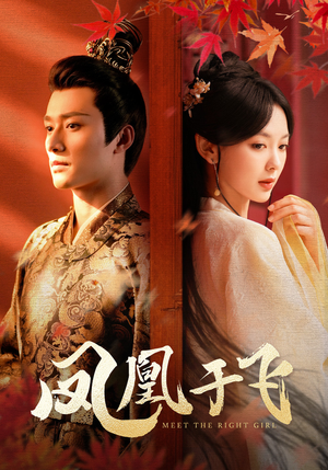 凤凰于飞（79集）短剧在哪个平台