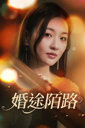婚途陌路（15集）每日短剧追不停